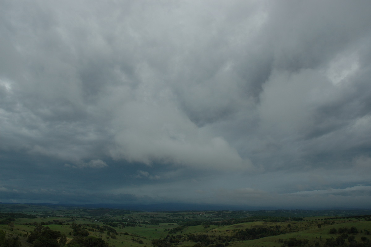 stratus stratus_cloud : McLeans Ridges, NSW   7 November 2004