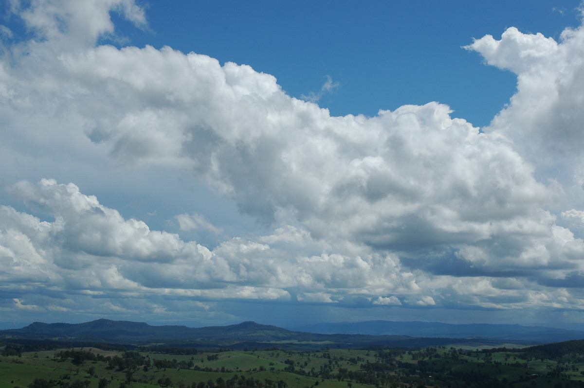 cumulus congestus : Mallanganee NSW   9 November 2004