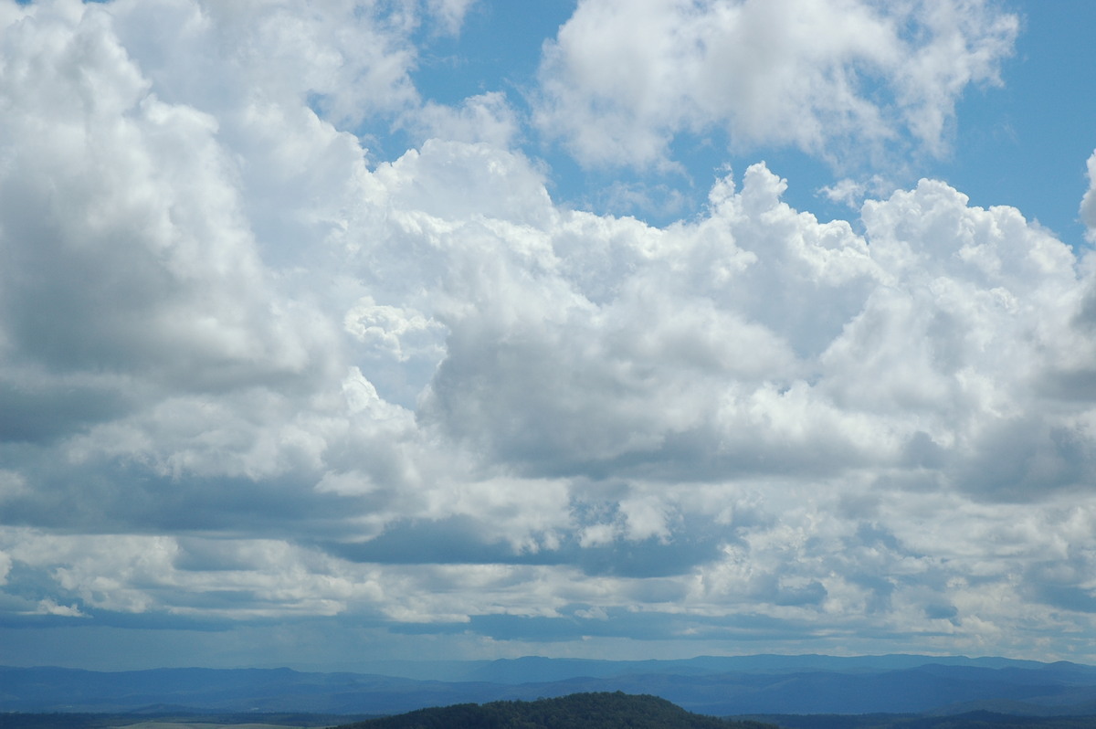 cumulus mediocris : Mallanganee NSW   9 November 2004