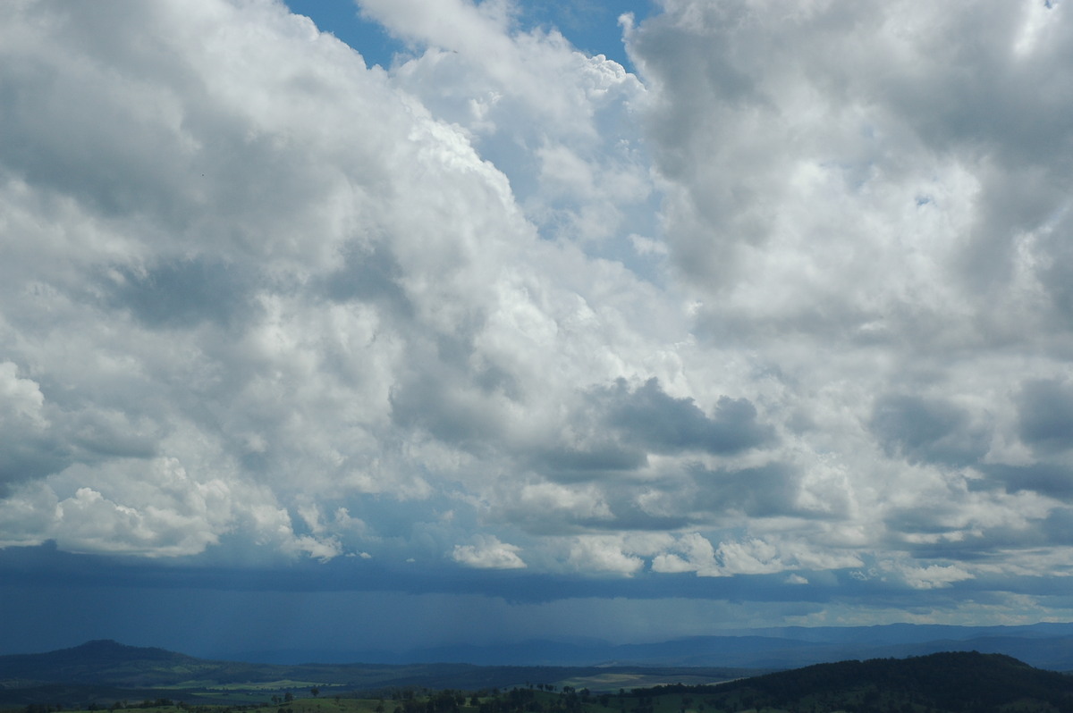 thunderstorm cumulonimbus_calvus : Mallanganee NSW   9 November 2004