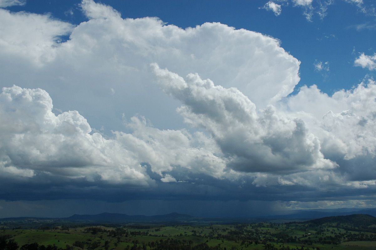 favourites michael_bath : Mallanganee NSW   9 November 2004