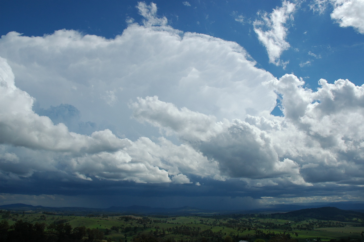 thunderstorm cumulonimbus_incus : Mallanganee NSW   9 November 2004