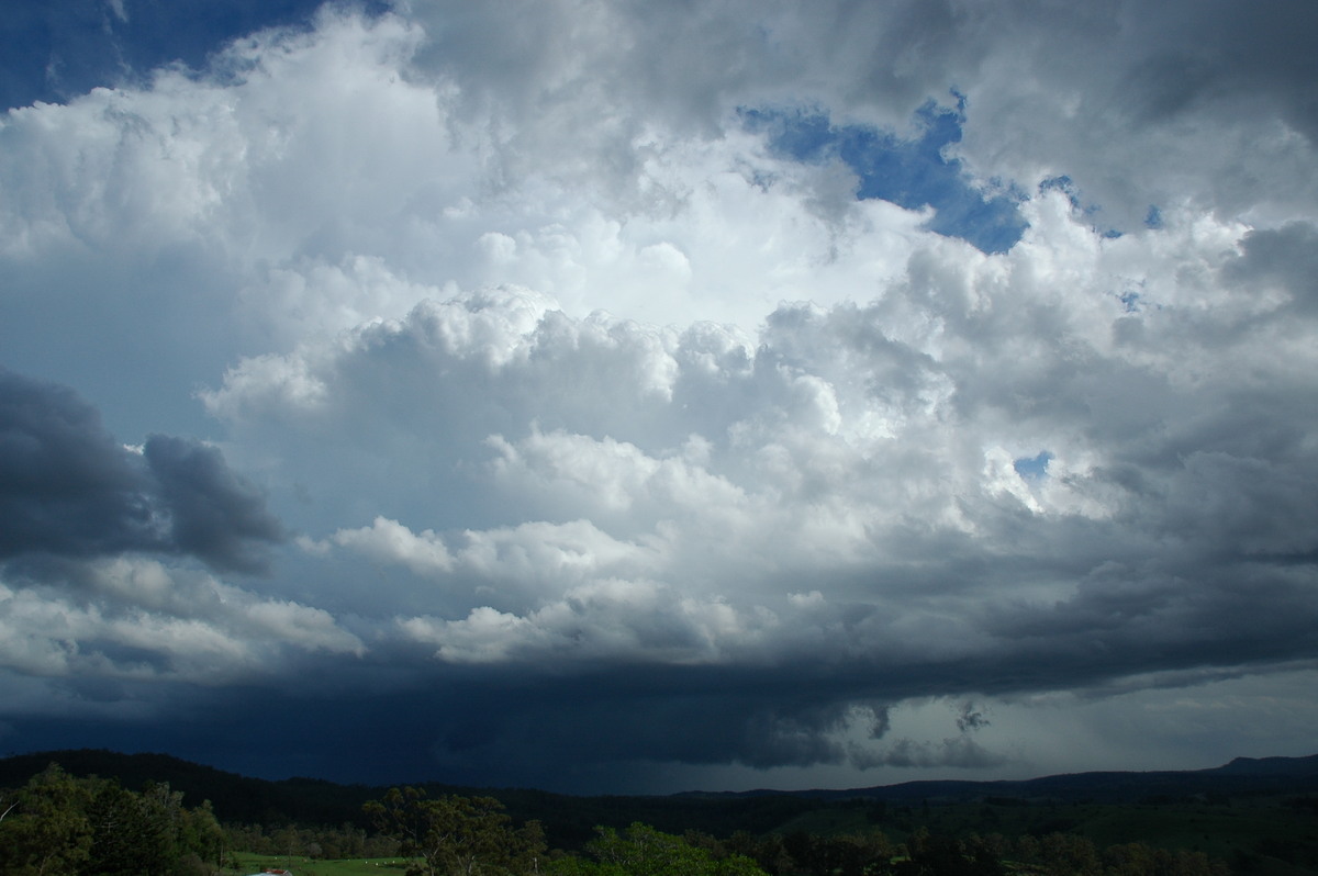 wallcloud thunderstorm_wall_cloud : Mallanganee NSW   9 November 2004