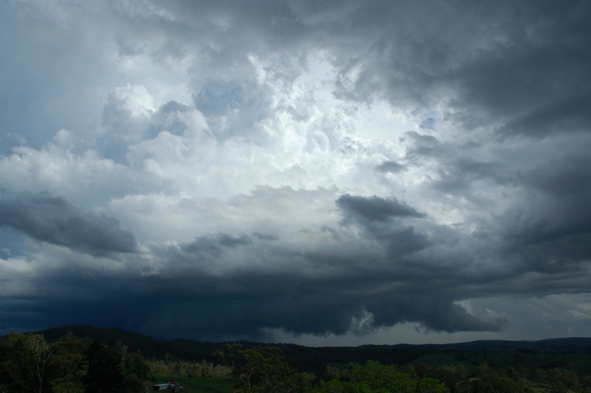 updraft thunderstorm_updrafts : Mallanganee NSW   9 November 2004