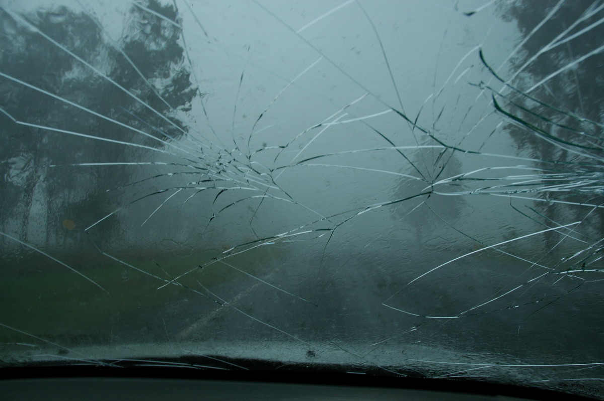 hailstones hail_stones : Leeville, NSW   9 November 2004