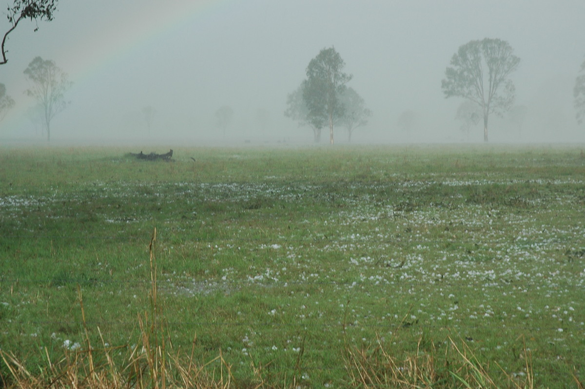 hailstones hail_stones : Leeville, NSW   9 November 2004