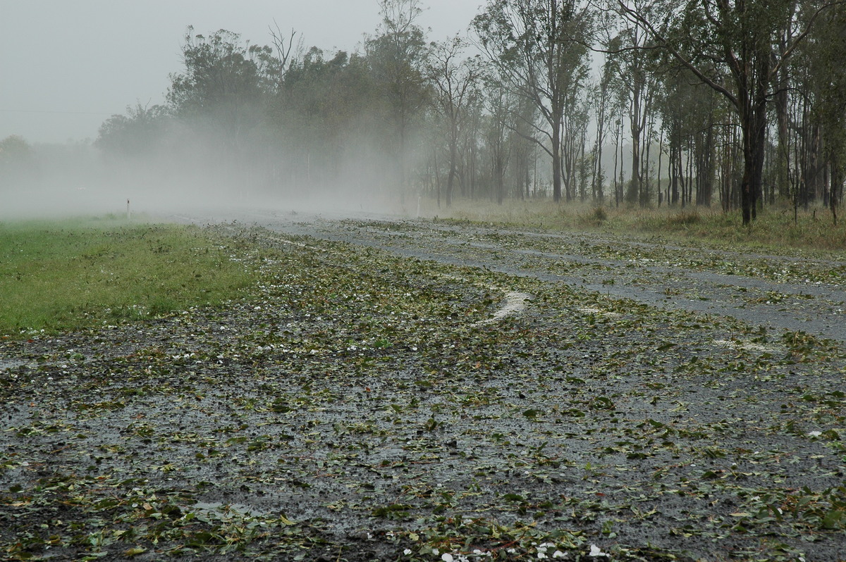 hailstones hail_stones : Leeville, NSW   9 November 2004