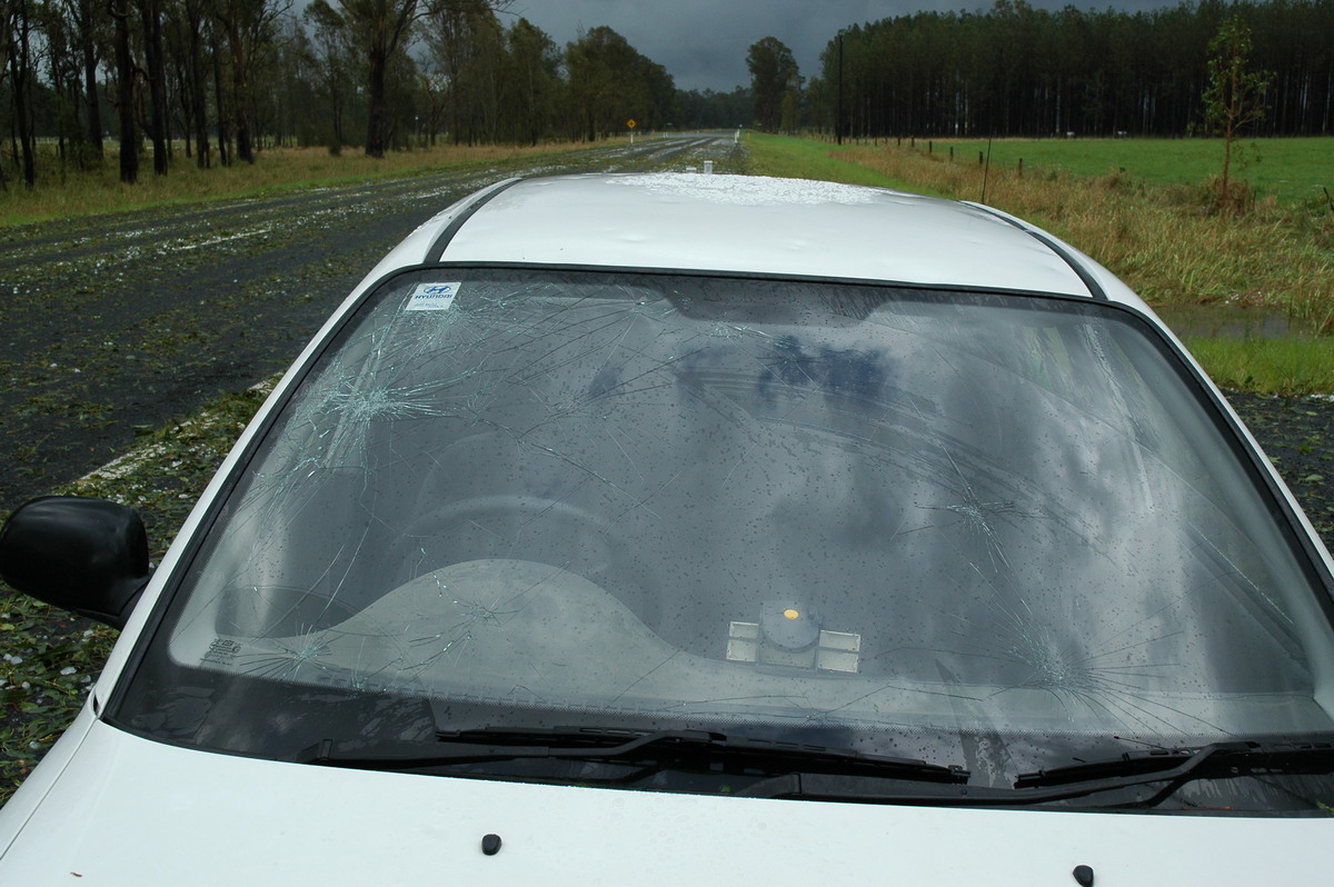 hailstones hail_stones : Leeville, NSW   9 November 2004