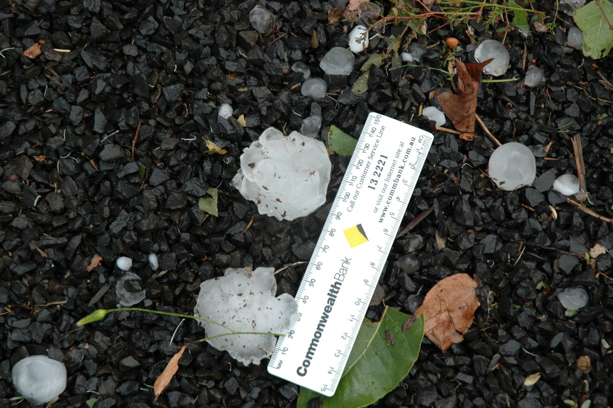 hailstones hail_stones : Leeville, NSW   9 November 2004