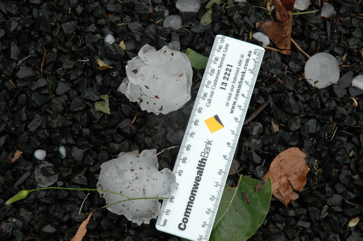 hailstones hail_stones : Leeville, NSW   9 November 2004