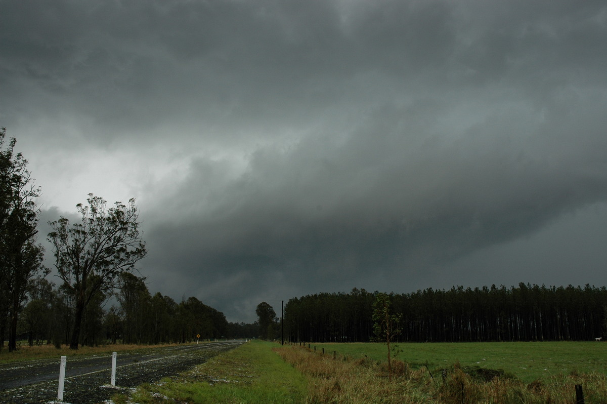 hailstones hail_stones : Leeville, NSW   9 November 2004