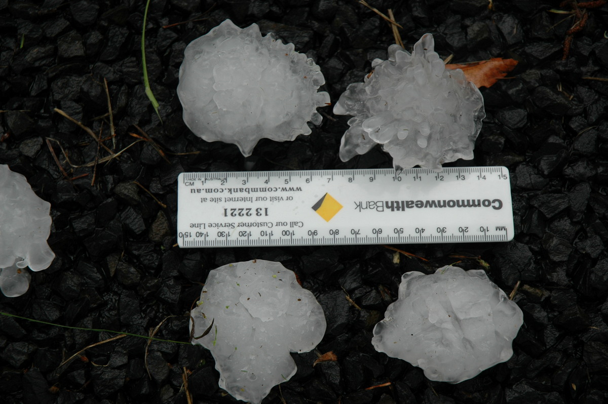 hailstones hail_stones : Leeville, NSW   9 November 2004