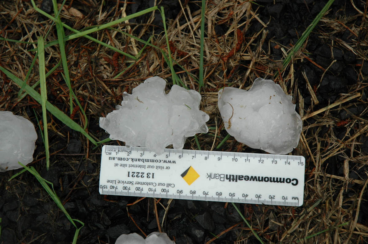 hailstones hail_stones : Leeville, NSW   9 November 2004