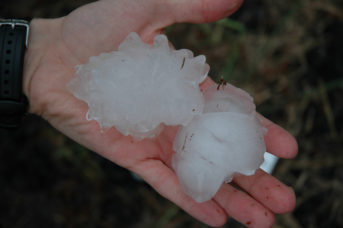 hailstones hail_stones : Leeville, NSW   9 November 2004