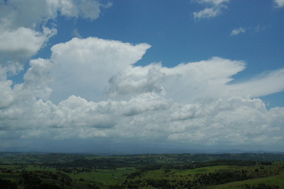 thunderstorm cumulonimbus_incus : McLeans Ridges, NSW   17 November 2004