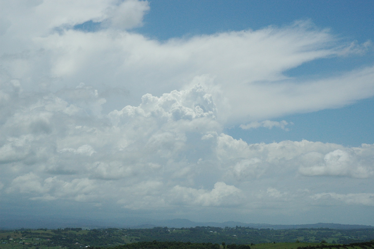 thunderstorm cumulonimbus_incus : McLeans Ridges, NSW   17 November 2004