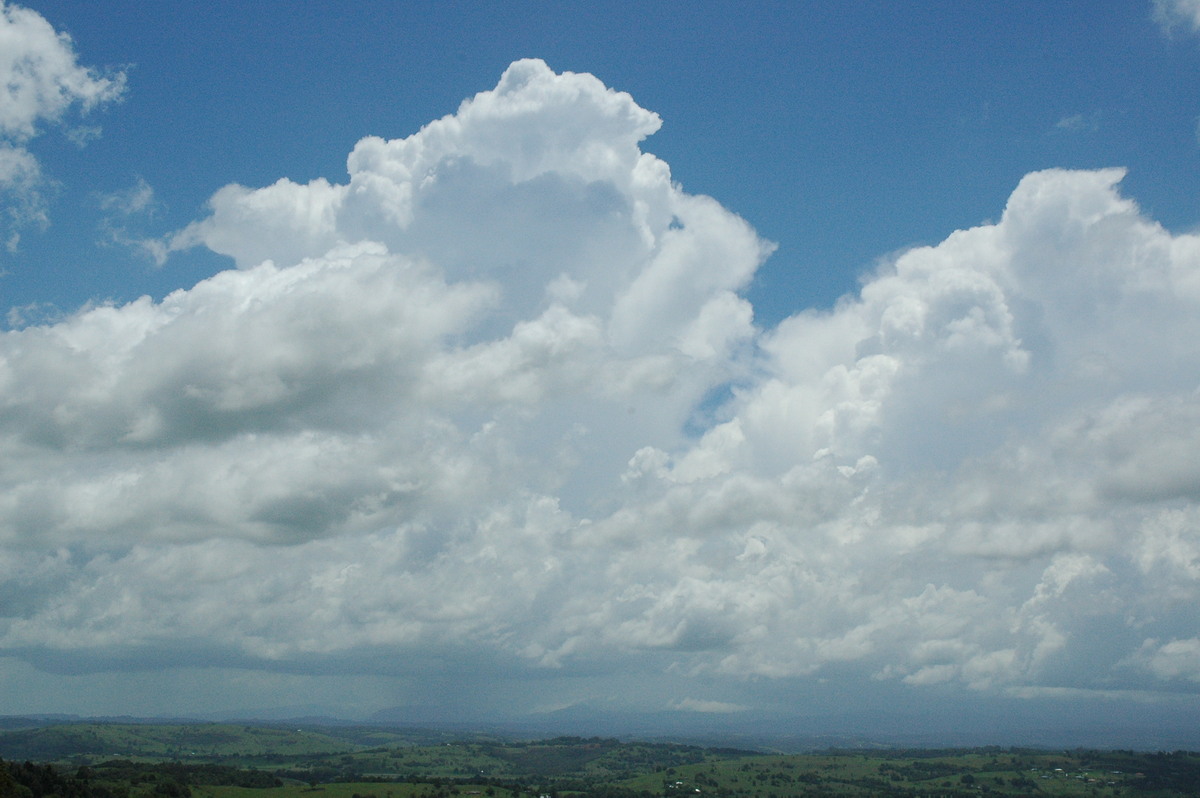 thunderstorm cumulonimbus_calvus : McLeans Ridges, NSW   17 November 2004