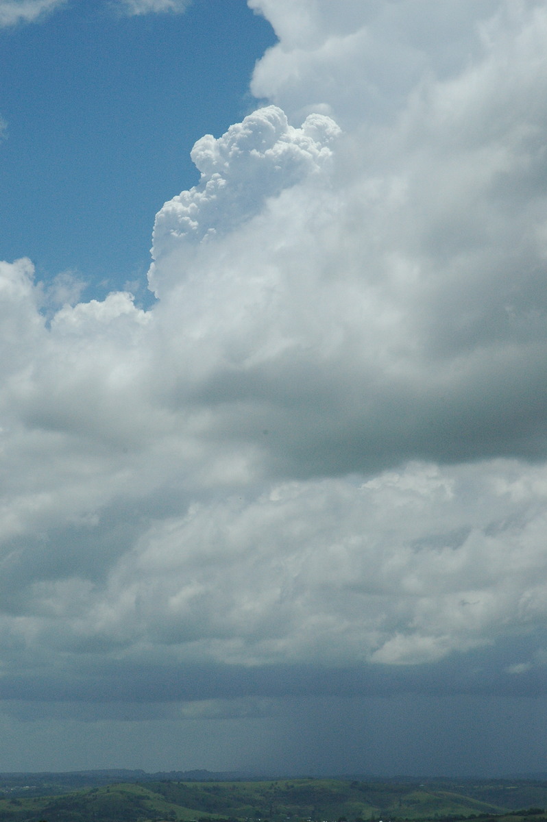 updraft thunderstorm_updrafts : McLeans Ridges, NSW   17 November 2004