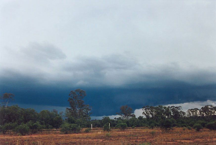 wallcloud thunderstorm_wall_cloud : 20km W of Nyngan, NSW   7 December 2004