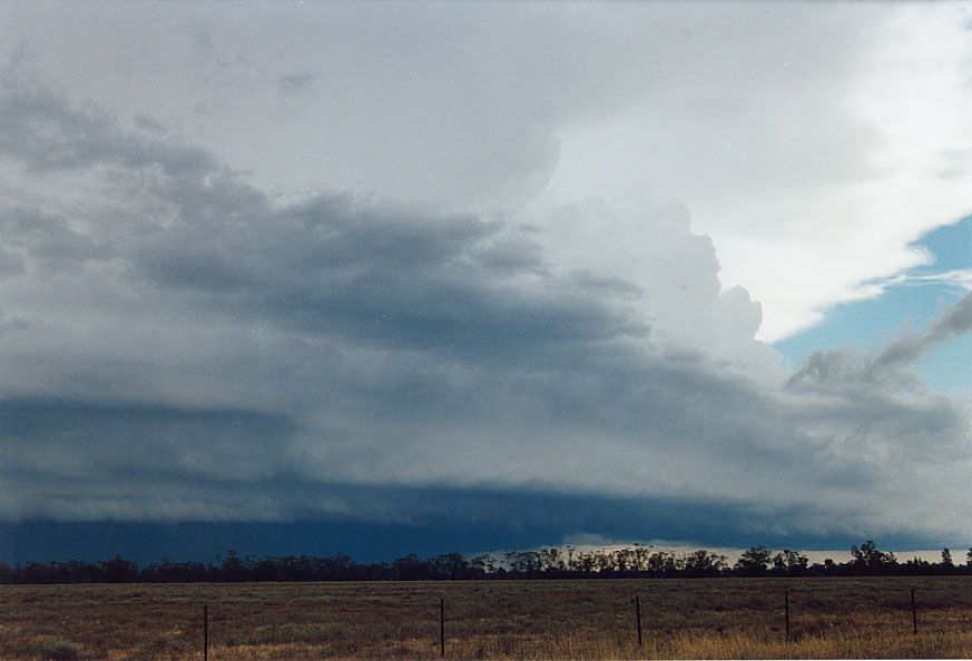 thunderstorm cumulonimbus_incus : 20km W of Nyngan, NSW   7 December 2004