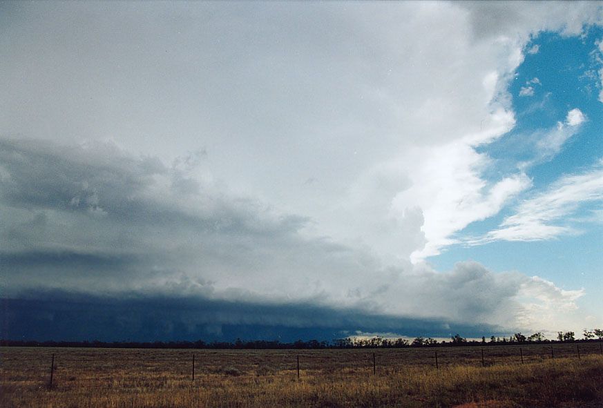 shelfcloud shelf_cloud : 20km W of Nyngan, NSW   7 December 2004