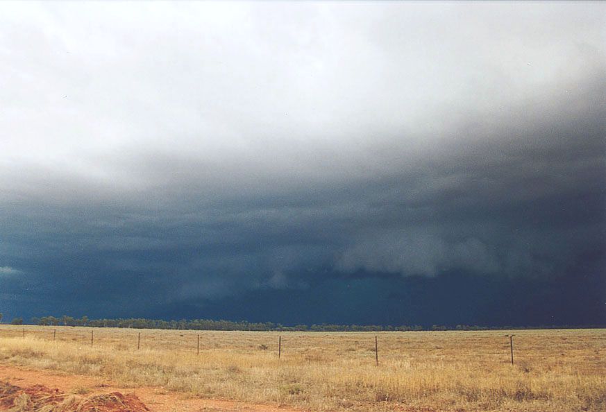 shelfcloud shelf_cloud : 20km W of Nyngan, NSW   7 December 2004