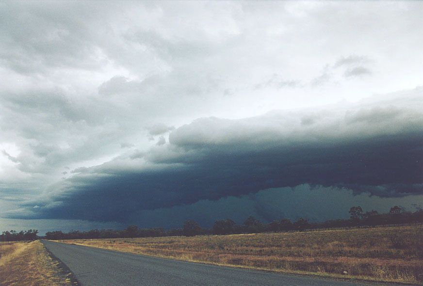 cumulonimbus supercell_thunderstorm : 10km S of Nyngan, NSW   7 December 2004