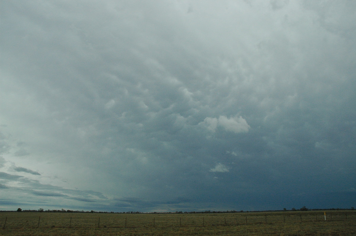 mammatus mammatus_cloud : W of Coonamble, NSW   7 December 2004