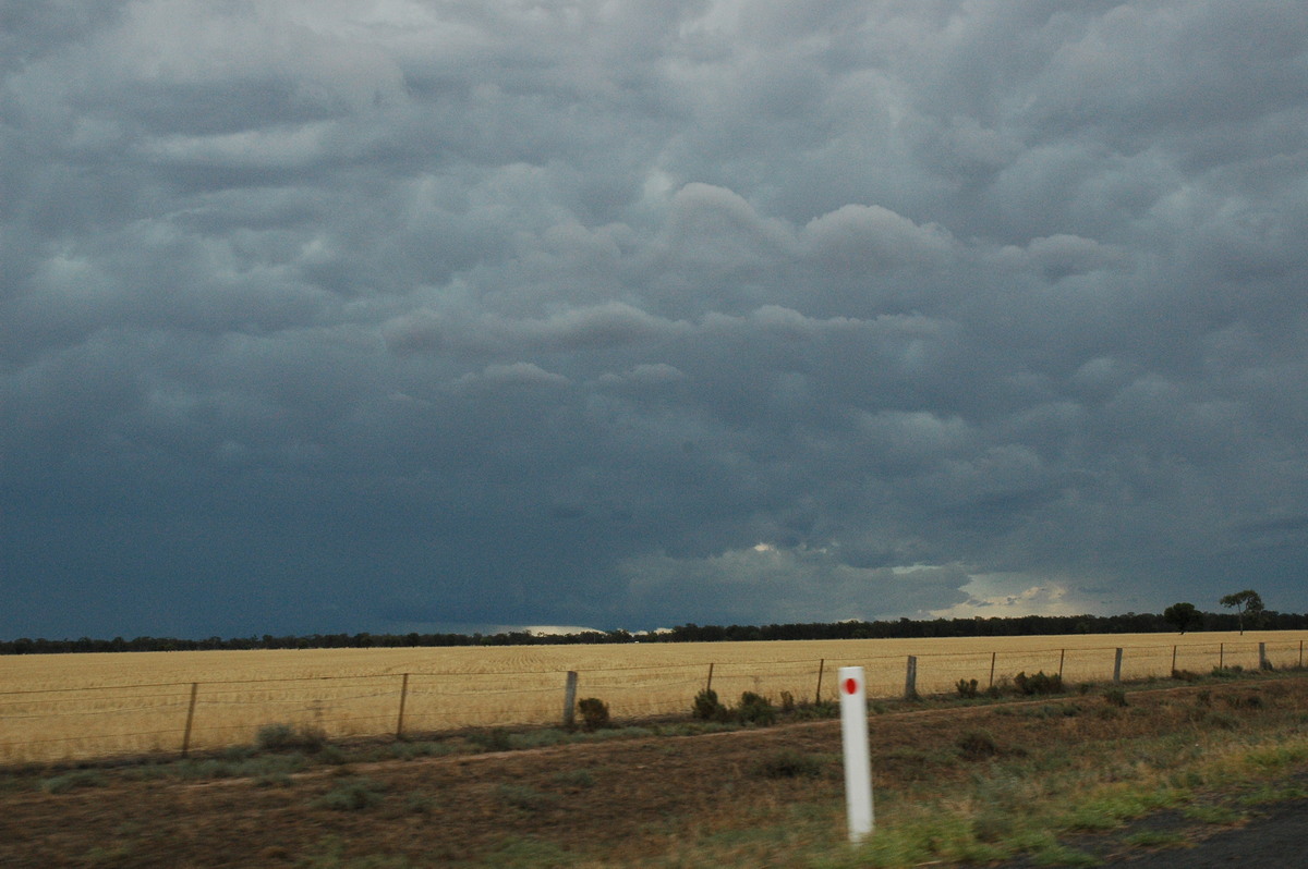 anvil thunderstorm_anvils : E of Quambone, NSW   7 December 2004