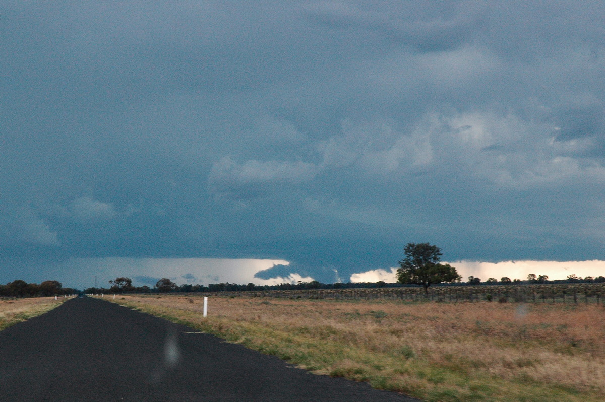 cumulonimbus supercell_thunderstorm : E of Quambone, NSW   7 December 2004