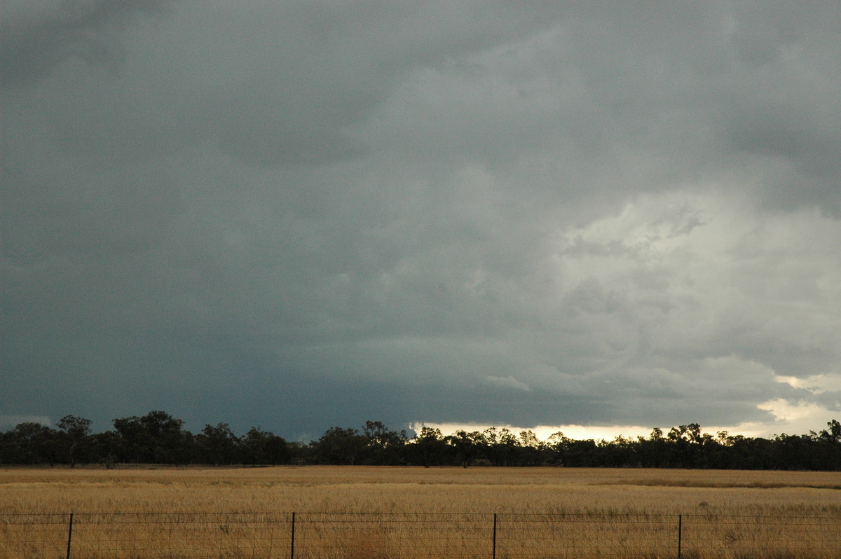 cumulonimbus supercell_thunderstorm : Quambone, NSW   7 December 2004