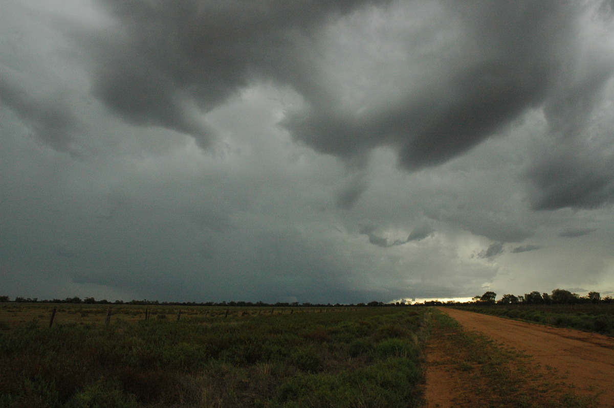 altocumulus altocumulus_cloud : Quambone, NSW   7 December 2004