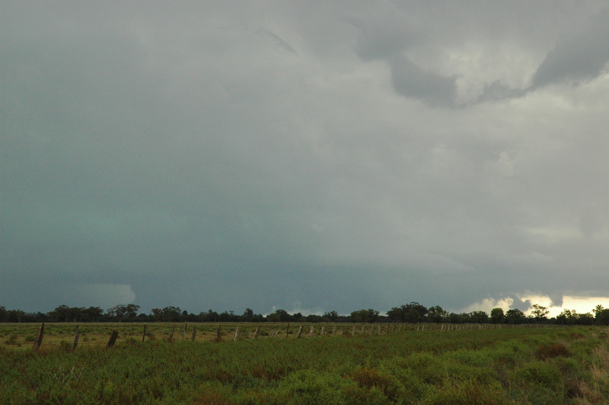 cumulonimbus supercell_thunderstorm : Quambone, NSW   7 December 2004