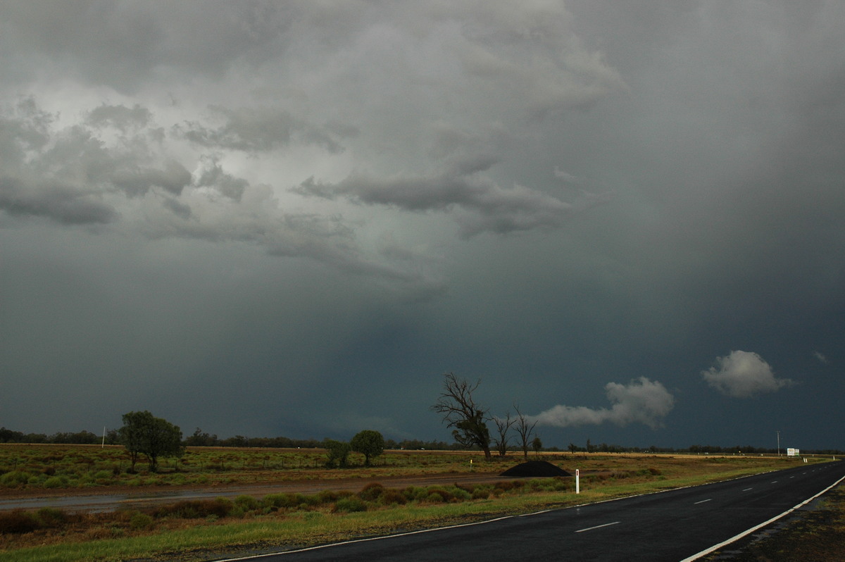 cumulonimbus thunderstorm_base : Coonamble, NSW   7 December 2004