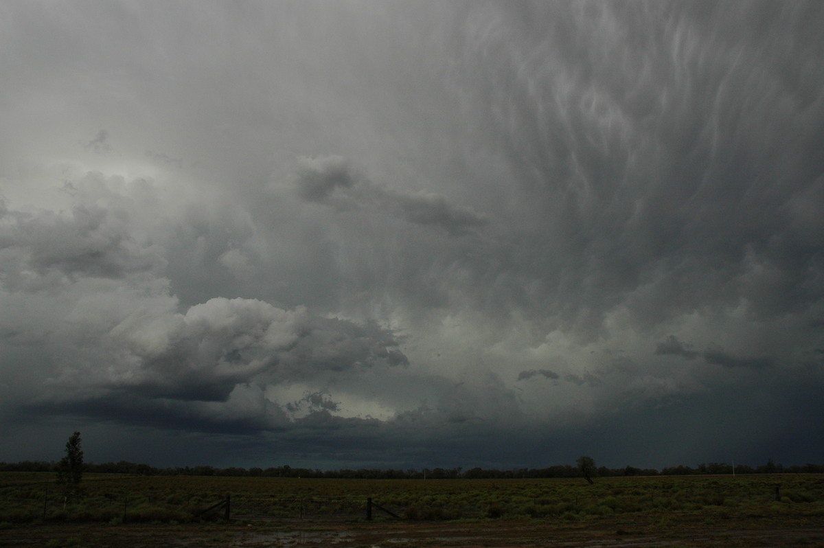 anvil thunderstorm_anvils : Coonamble, NSW   7 December 2004