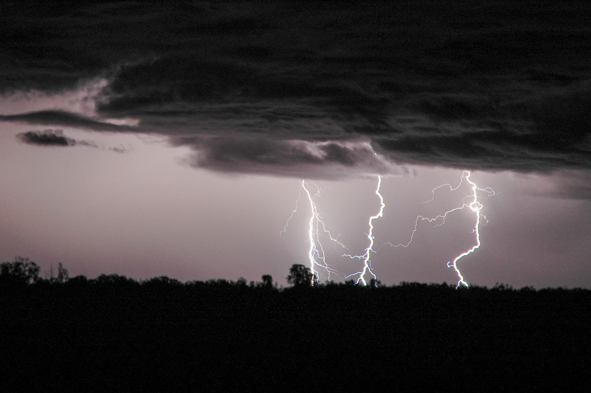 favourites michael_bath : near Coonamble, NSW   7 December 2004