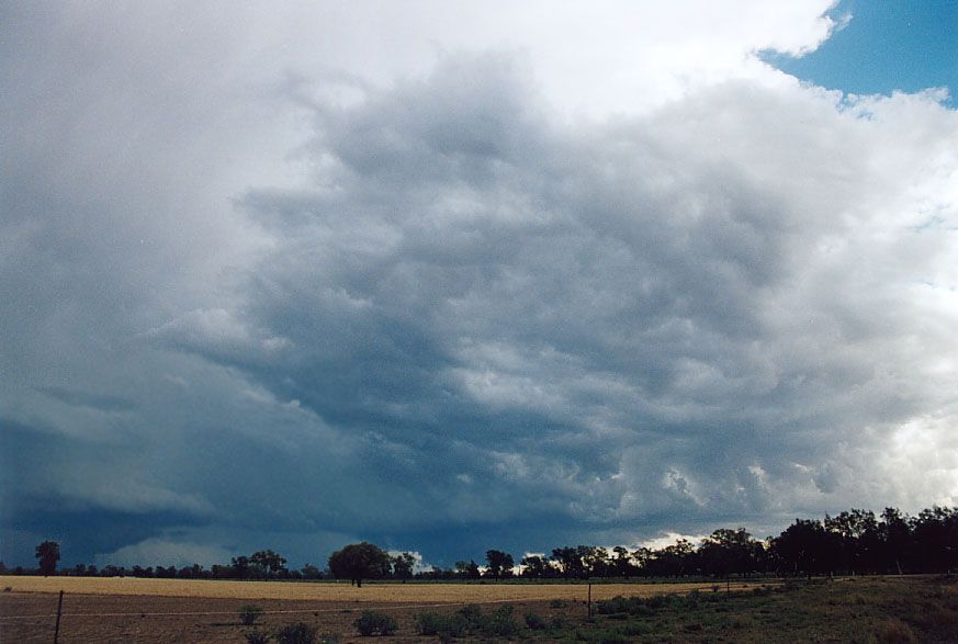 cumulonimbus thunderstorm_base : 40km SW of Walgett, NSW   8 December 2004