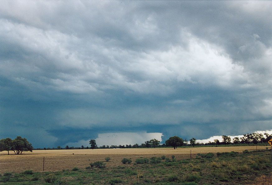 cumulonimbus supercell_thunderstorm : 40km SW of Walgett, NSW   8 December 2004