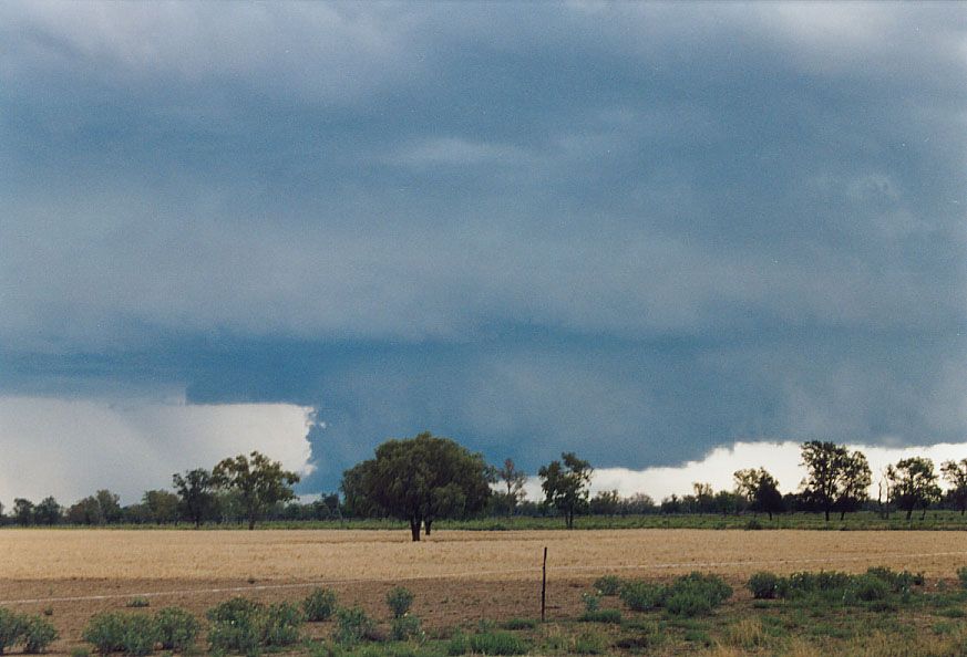 wallcloud thunderstorm_wall_cloud : 40km SW of Walgett, NSW   8 December 2004