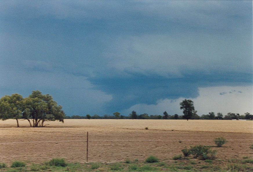 wallcloud thunderstorm_wall_cloud : 40km SW of Walgett, NSW   8 December 2004