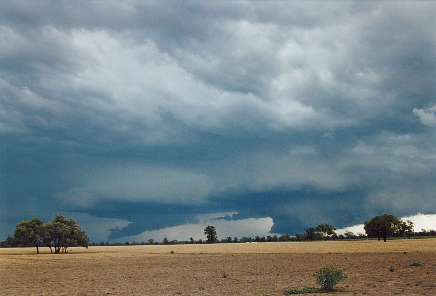 favourites jimmy_deguara : SW of Walgett, NSW   8 December 2004