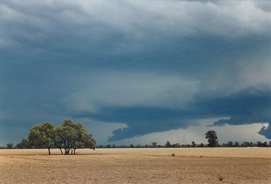 wallcloud thunderstorm_wall_cloud : 40km SW of Walgett, NSW   8 December 2004