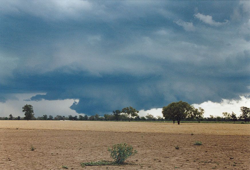 favourites jimmy_deguara : SW of Walgett, NSW   8 December 2004