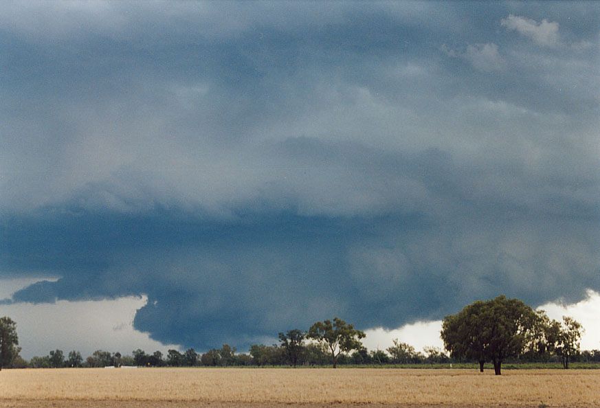 wallcloud thunderstorm_wall_cloud : 40km SW of Walgett, NSW   8 December 2004