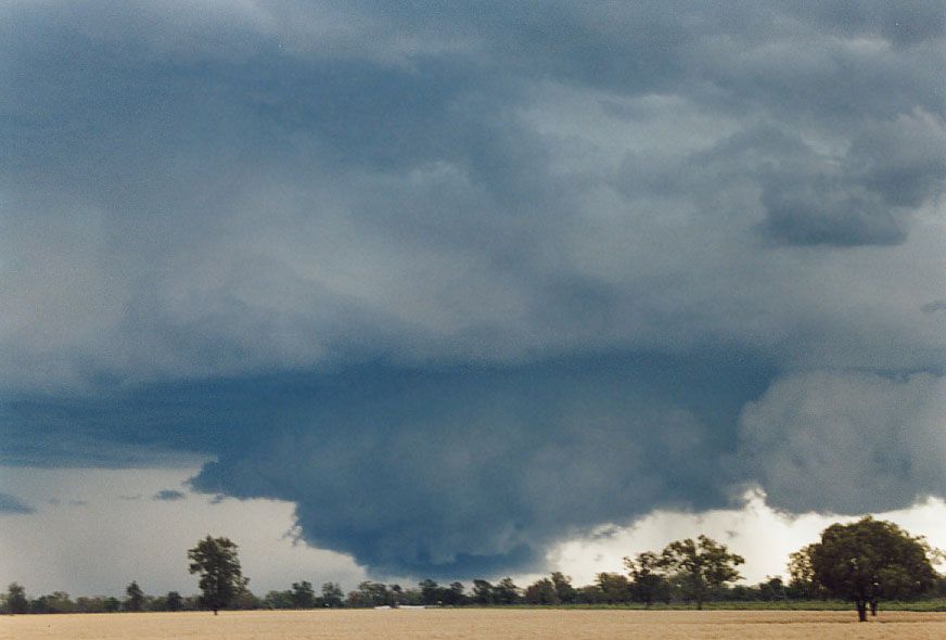 wallcloud thunderstorm_wall_cloud : 40km SW of Walgett, NSW   8 December 2004