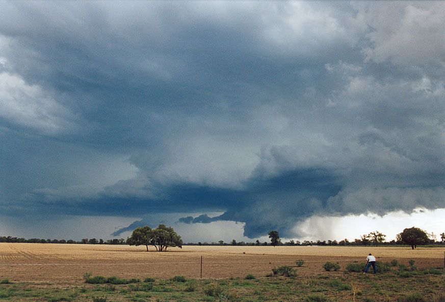 cumulonimbus thunderstorm_base : 40km SW of Walgett, NSW   8 December 2004