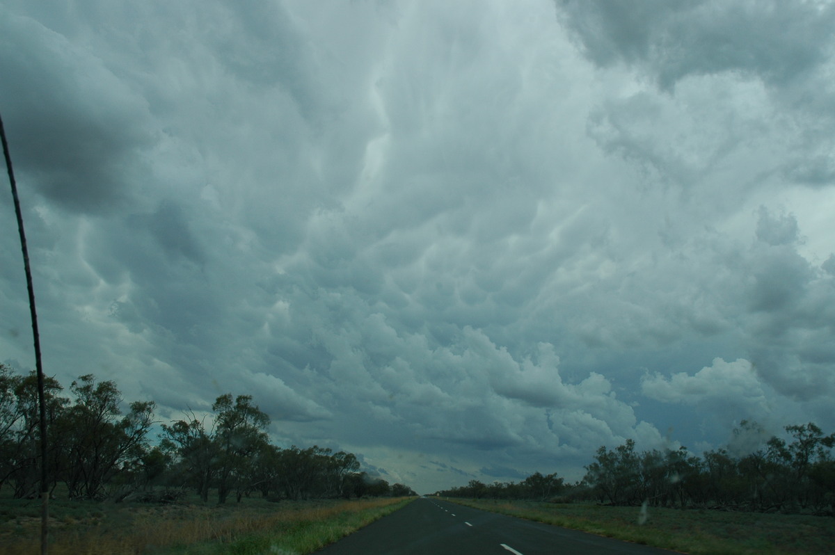 mammatus mammatus_cloud : W of Walgett, NSW   8 December 2004