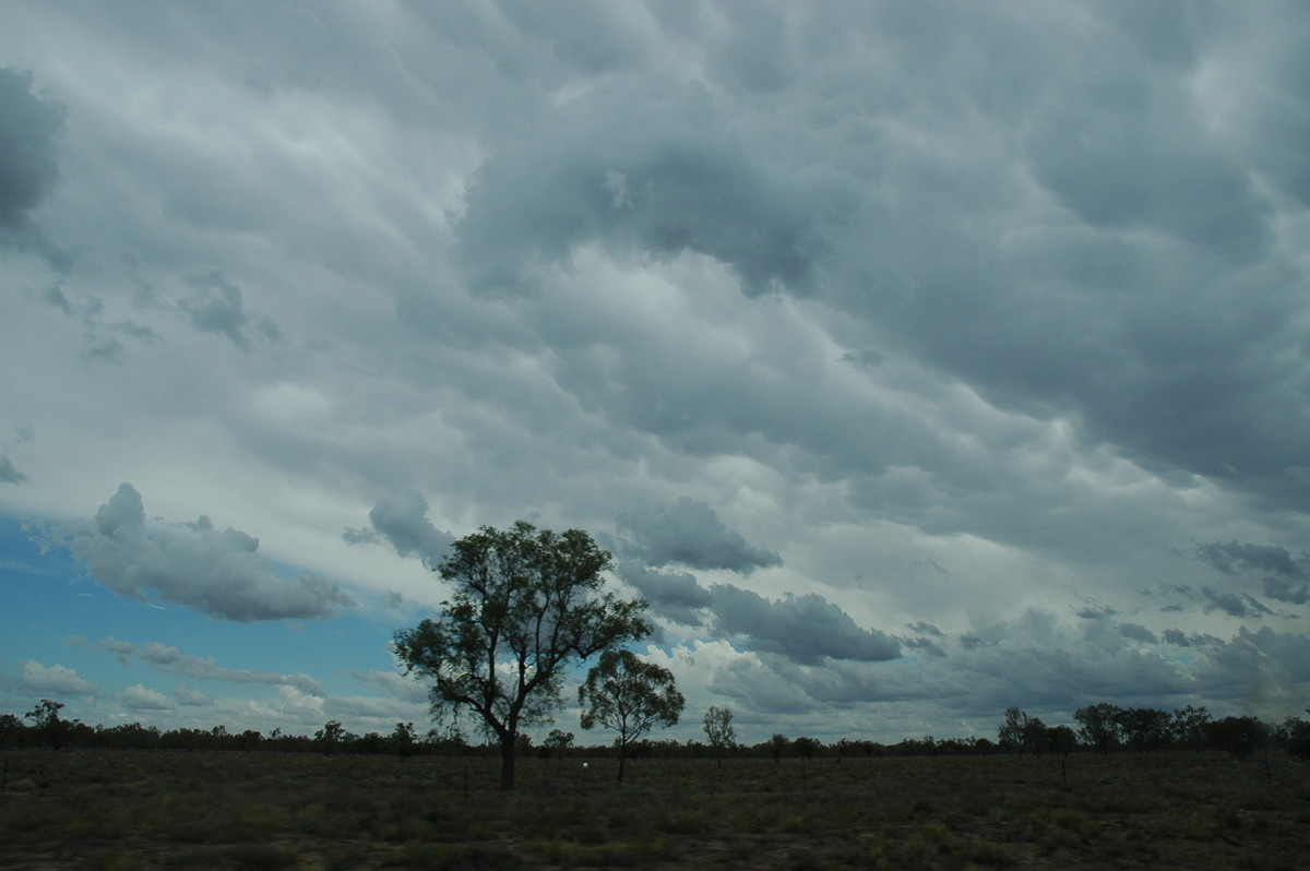 anvil thunderstorm_anvils : W of Walgett, NSW   8 December 2004