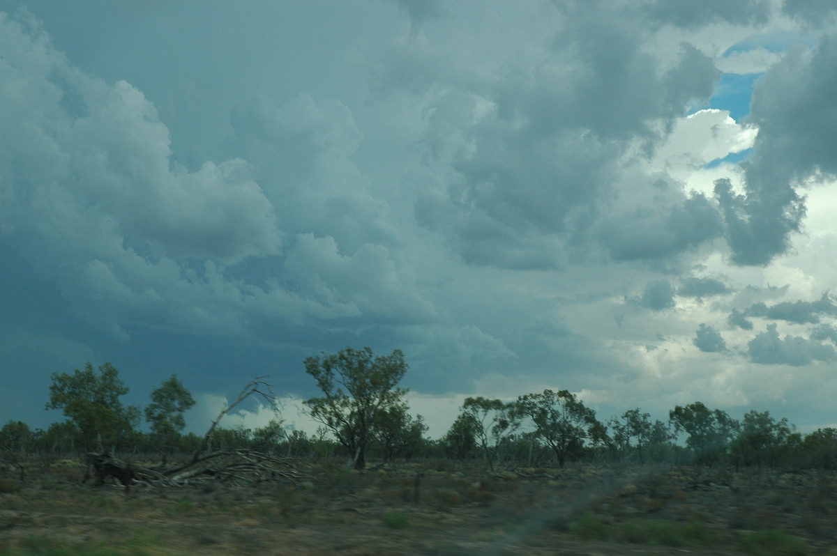 wallcloud thunderstorm_wall_cloud : W of Walgett, NSW   8 December 2004