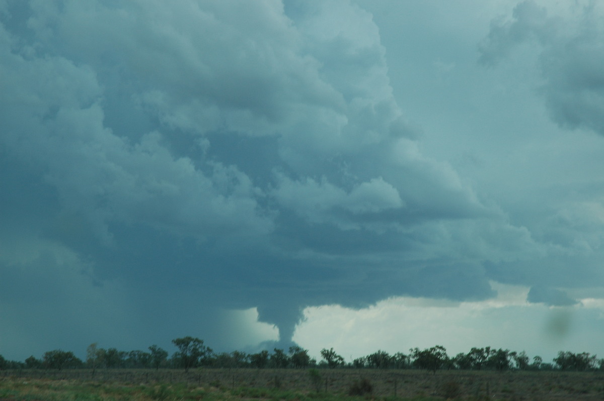 wallcloud thunderstorm_wall_cloud : W of Walgett, NSW   8 December 2004